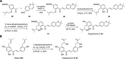 Progress of isolation, chemical synthesis and biological activities of natural chalcones bearing 2-hydroxy-3-methyl-3-butenyl group